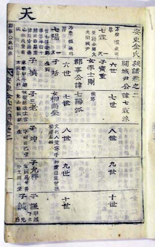 ankim02-10-5b.jpg