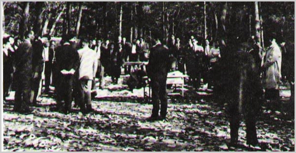 ankim01-8-3a.jpg