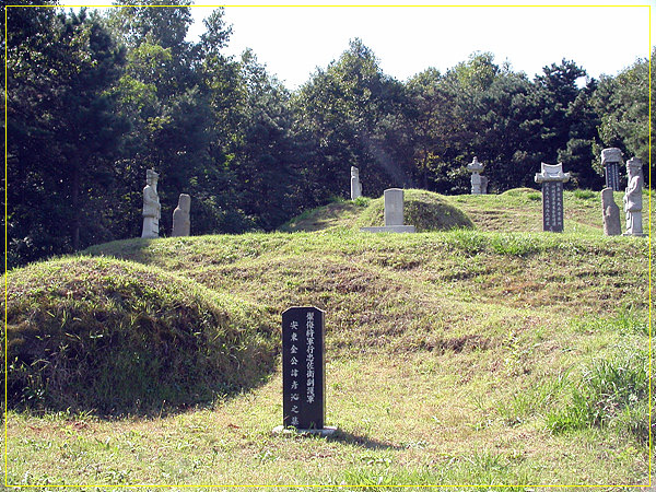 ankim02-6-42m.jpg