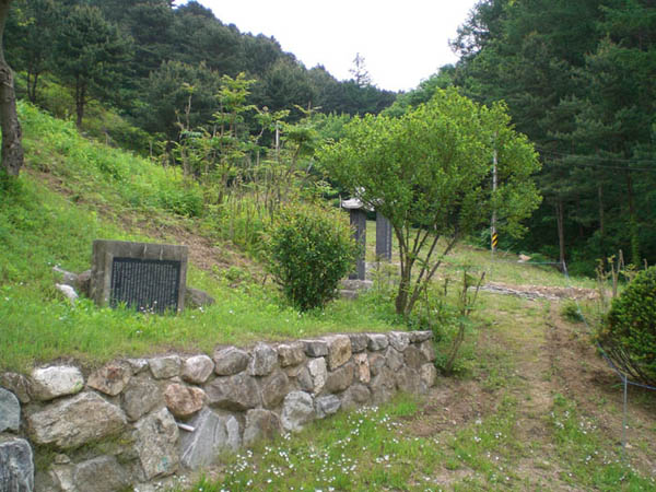 ankim02-6-68z69.jpg