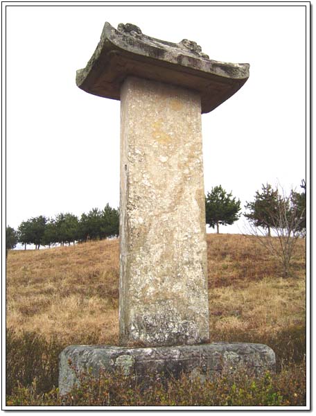 ankim02-6-69d.jpg
