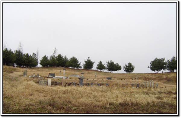 ankim02-6-69m.jpg