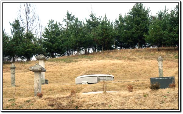 ankim02-6-69r.jpg