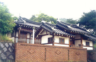 ankim04-10l.jpg