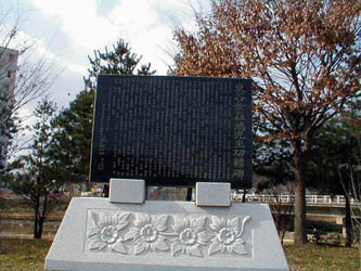ankim04-11p.jpg