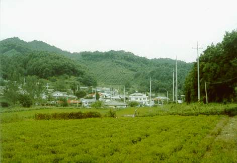 ankim04-11z1.jpg