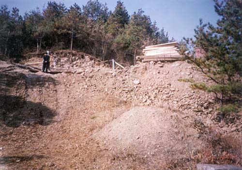 ankim04-11z318.jpg