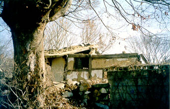 ankim04-11z490.jpg