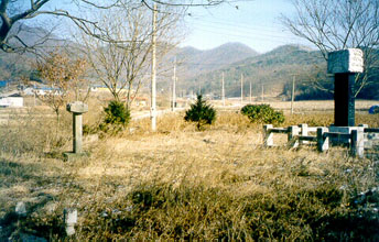 ankim04-11z493.jpg